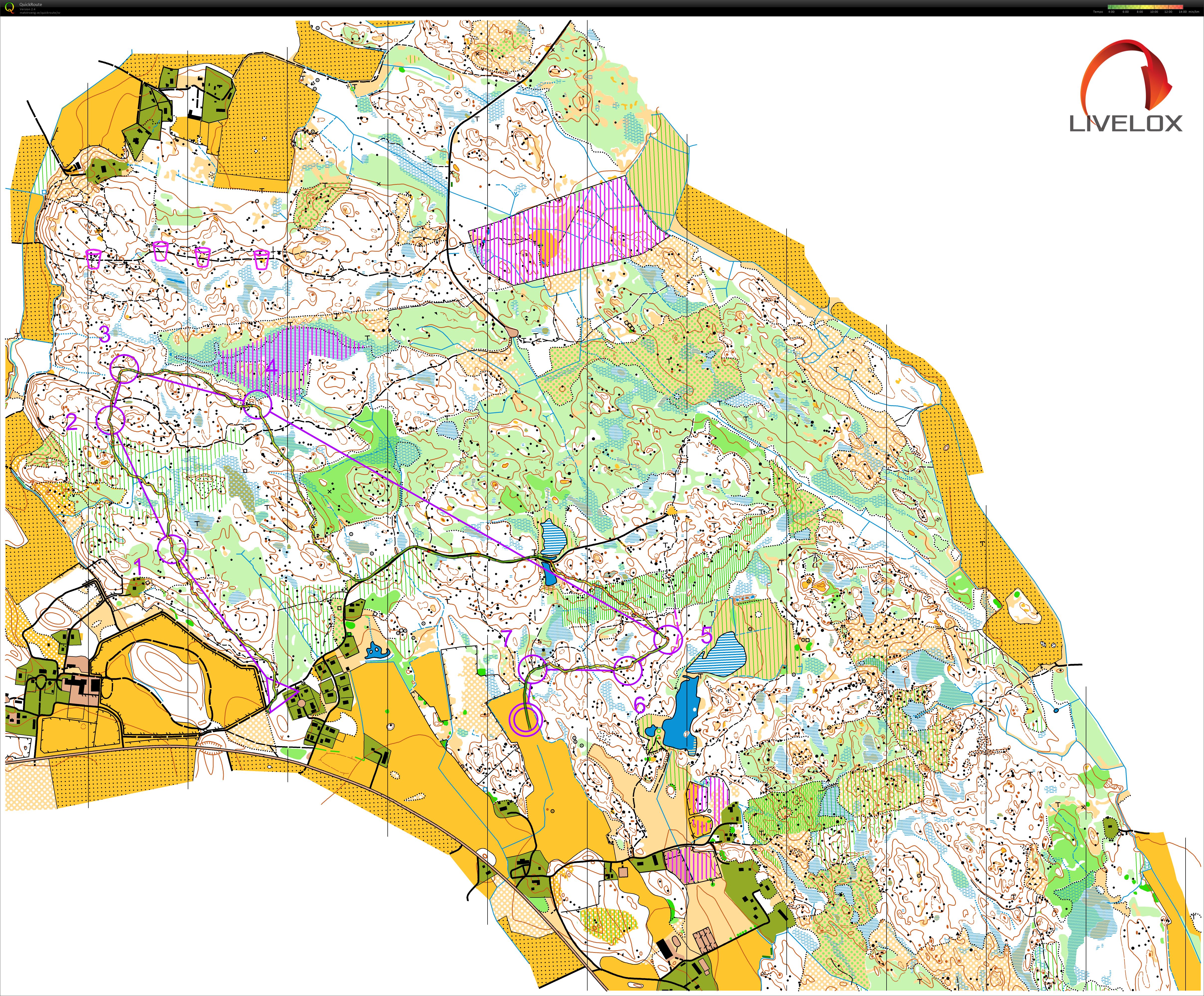 Arosträffen, lång ÖM7 (29/09/2019)