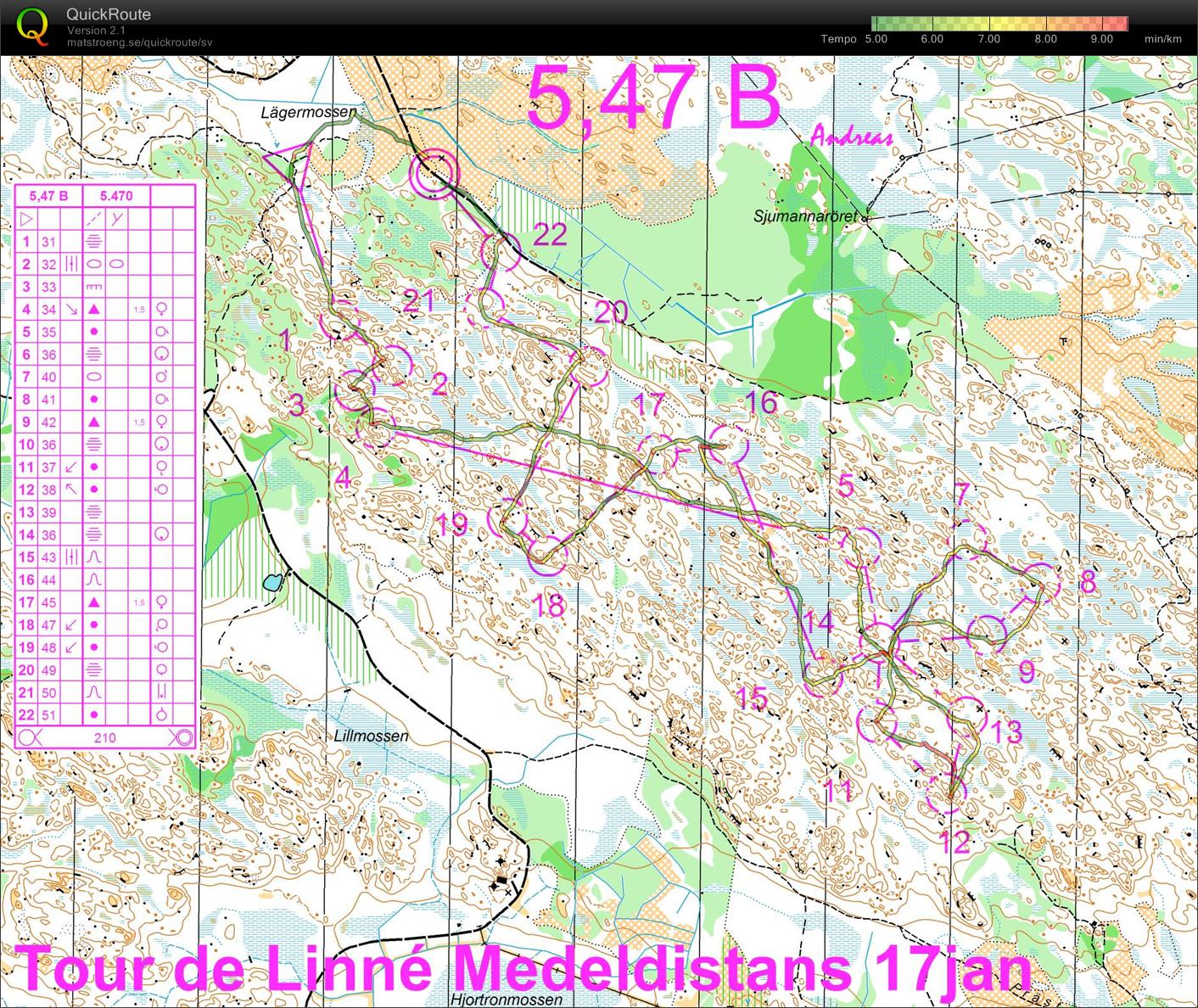 Tjäderleksbergen (17.01.2009)