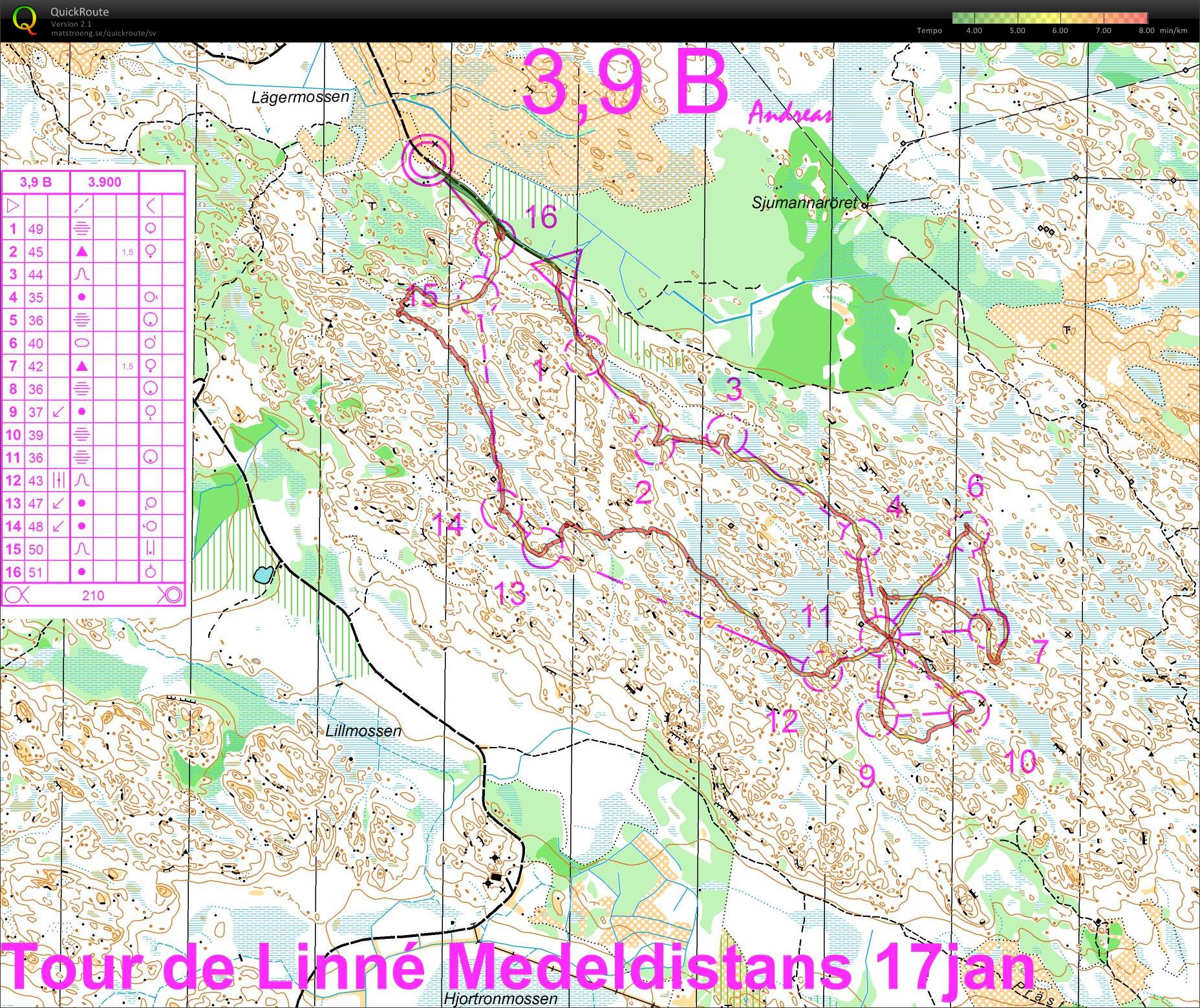 Tour de Linne, etapp 5 (2009-01-17)