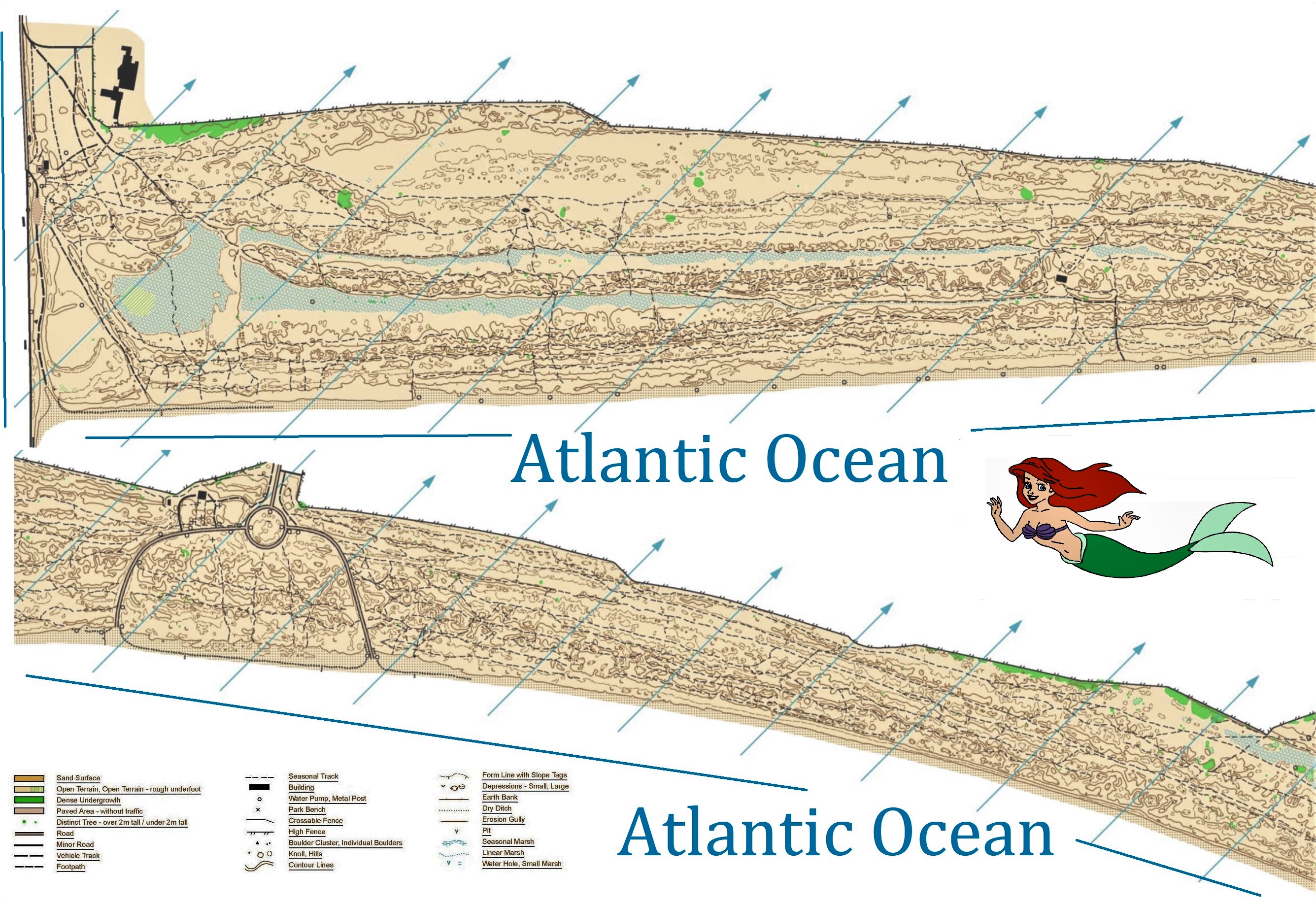 Bull Island Dublin (2022-10-12)