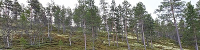 Knappåsen