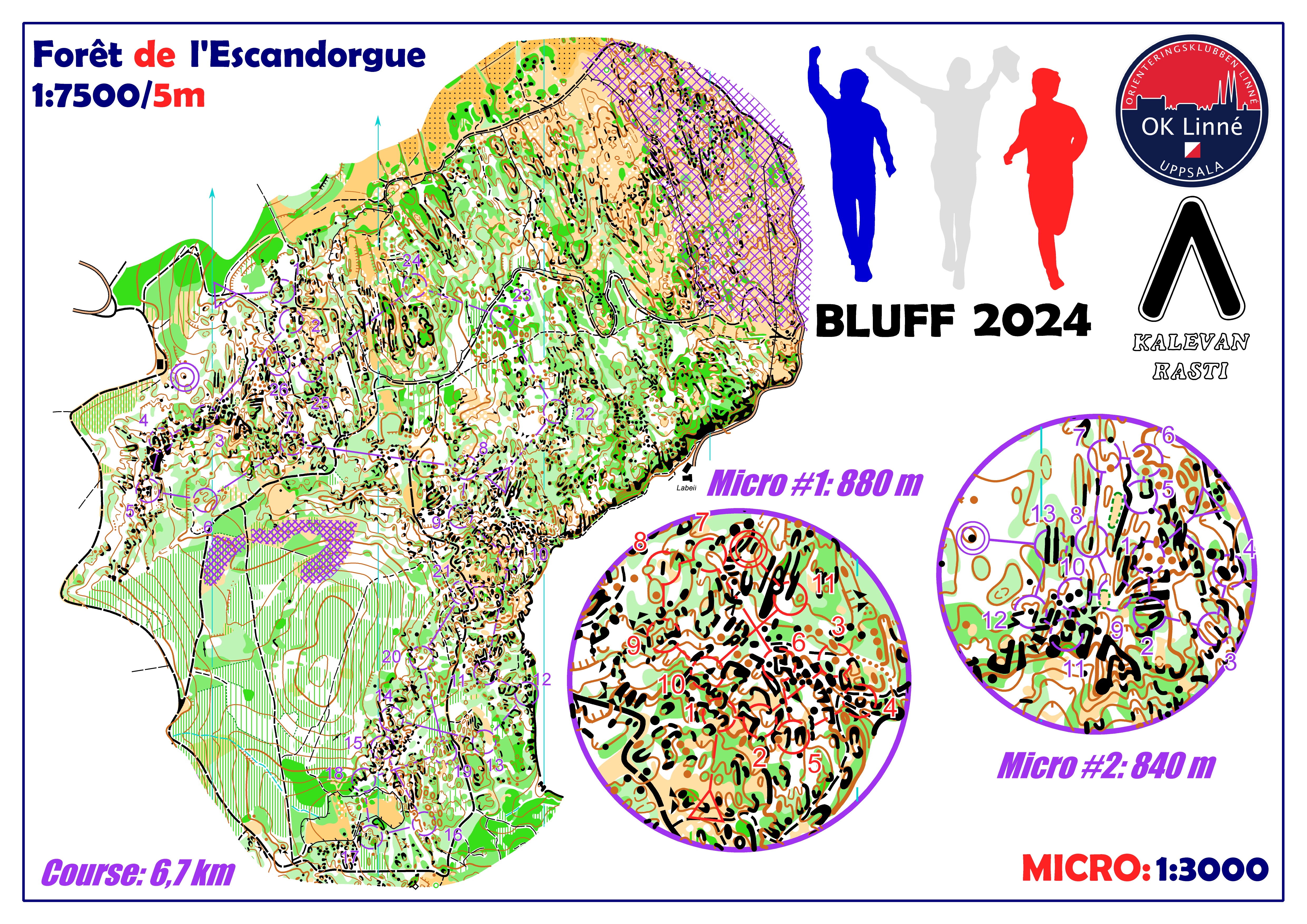 BLUFF #4  (02-03-2024)