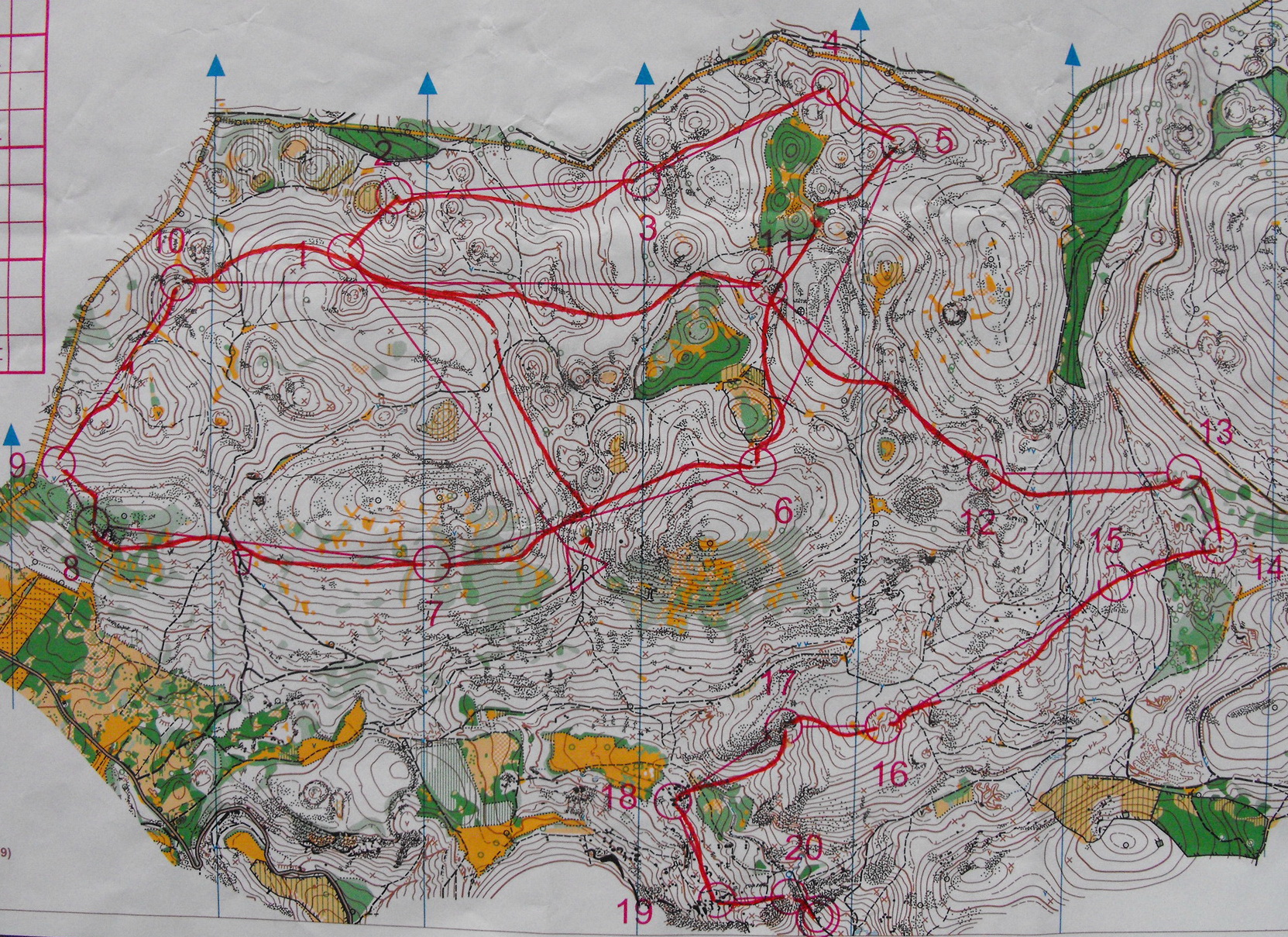 Hungarian Champs long distance qual (2009-10-17)